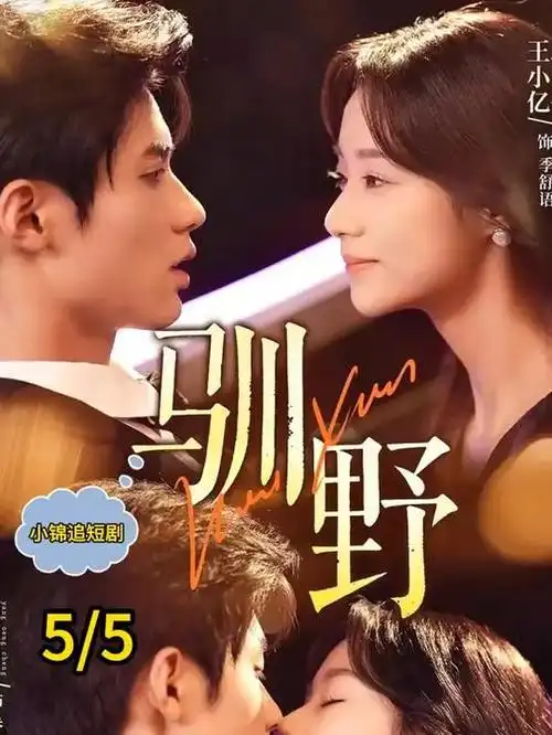 山海旧邮局 电视剧全集在线观看